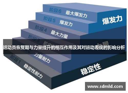 运动员恢复期与力量提升的相互作用及其对运动表现的影响分析